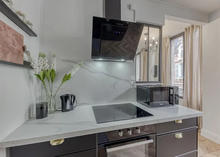 Apartman La Imperiale Montereau-faut-Yonne